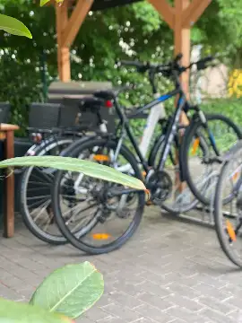 bild03_low.webp