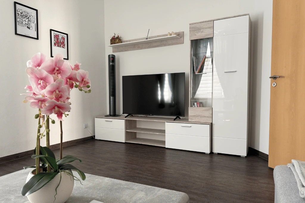 Fewo Plauen Top 1 Wohnzimmer