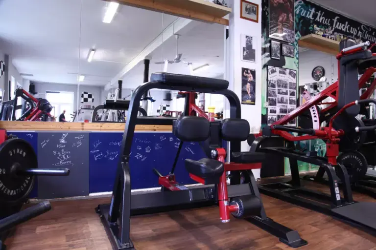 Fitnessstudio neben der Ferienwohnung Plauen: Kraftgeräte in Rot und Schwarz im Maschinenpark