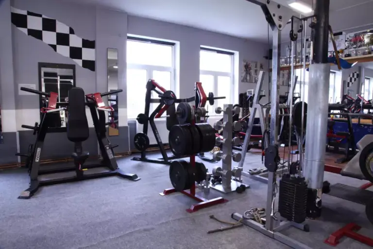 Fitnessstudio neben der Ferienwohnung Plauen: Maschinenpark mit Kraftgeräten vor großen Fenstern